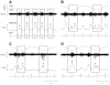 Fig. 11