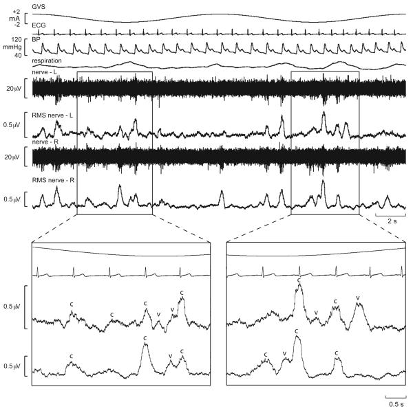 Fig. 15