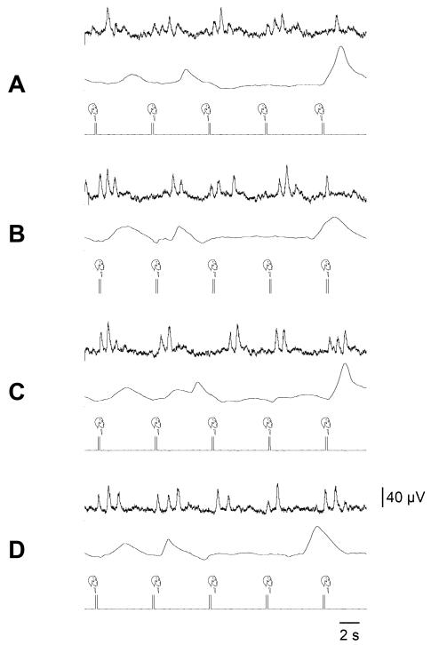 Fig. 21