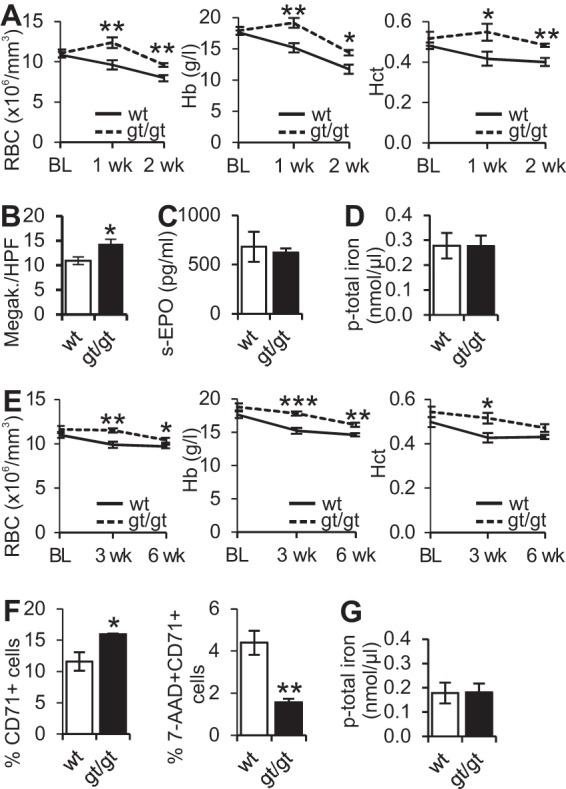 FIG 6