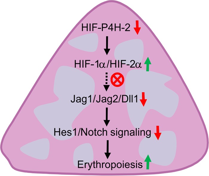 FIG 7