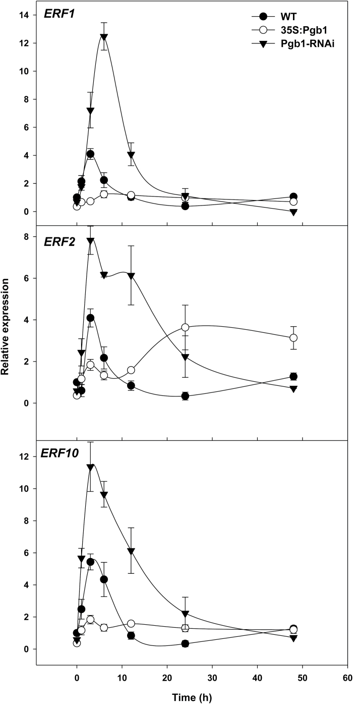 Fig. 4.