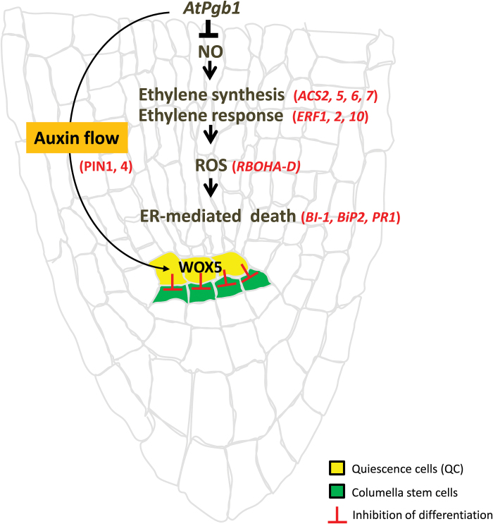 Fig. 9.