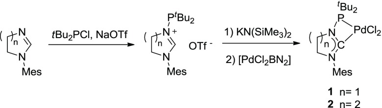 Scheme 2