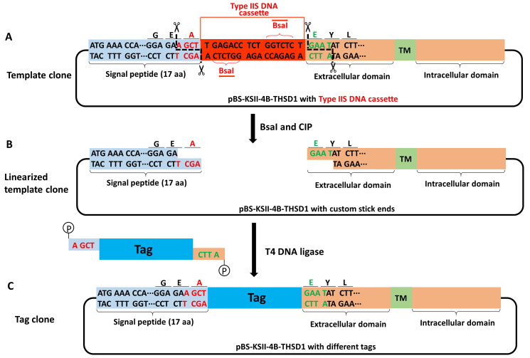 Figure 6.