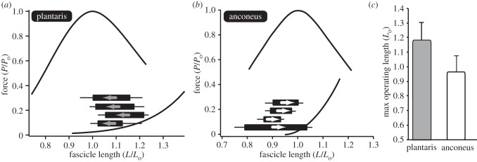 Figure 6.