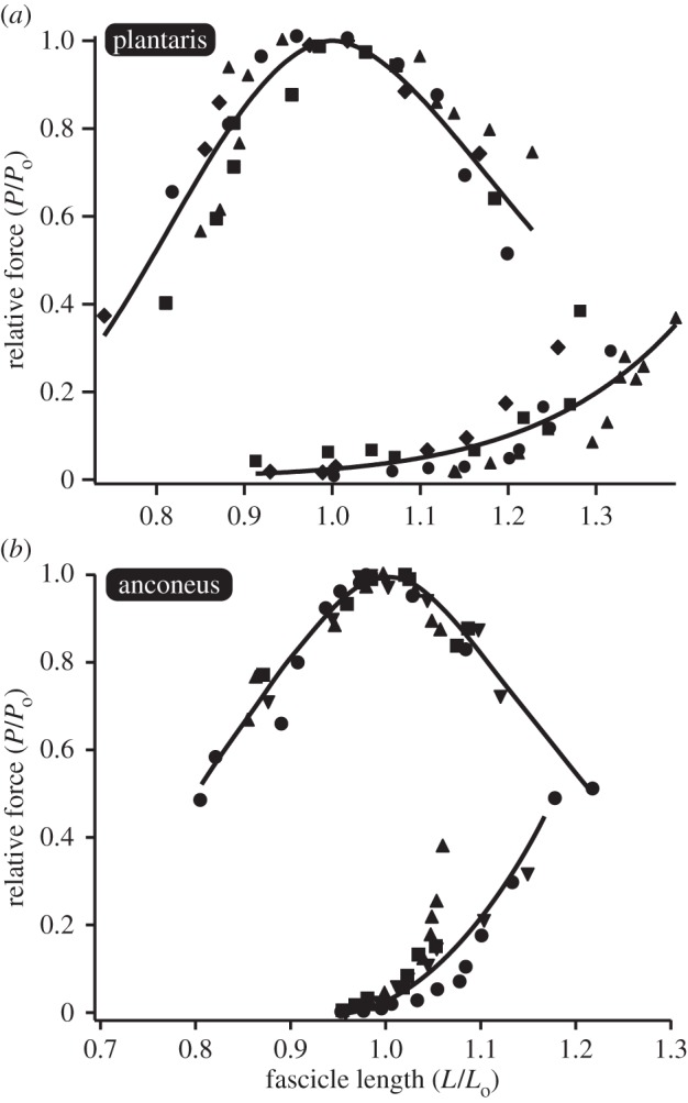 Figure 4.