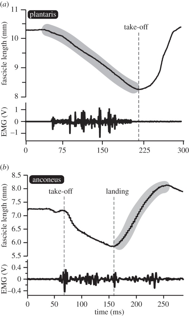 Figure 3.