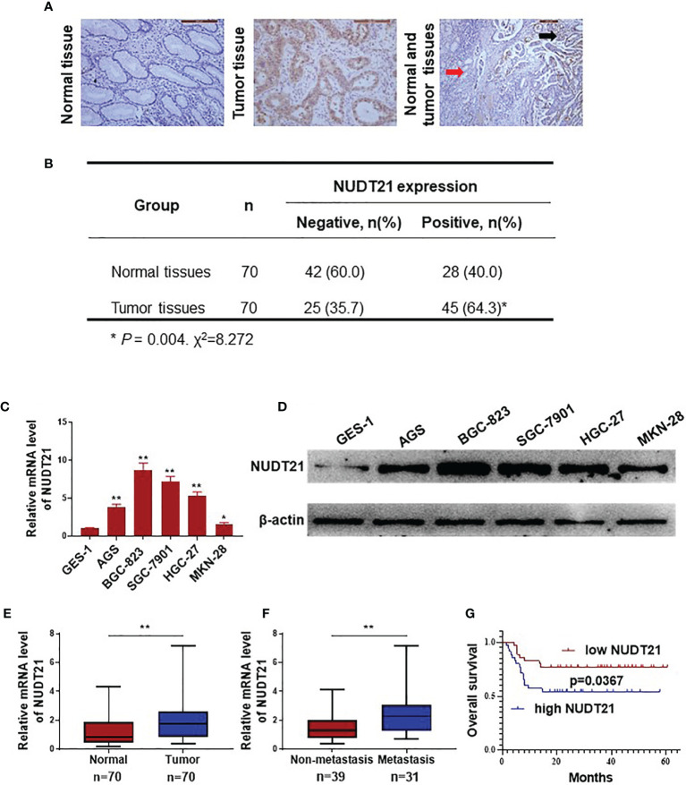 Figure 1