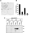 FIG. 6.