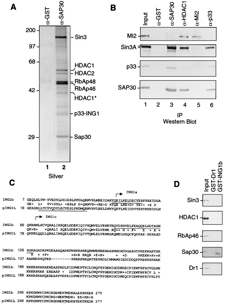 FIG. 1.