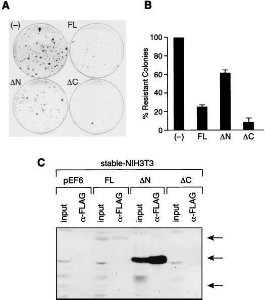 FIG. 6.