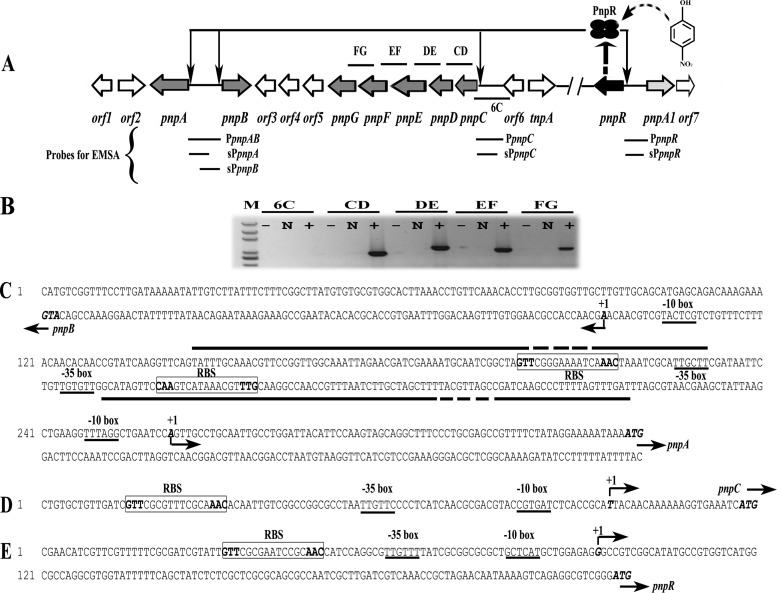 FIG 1