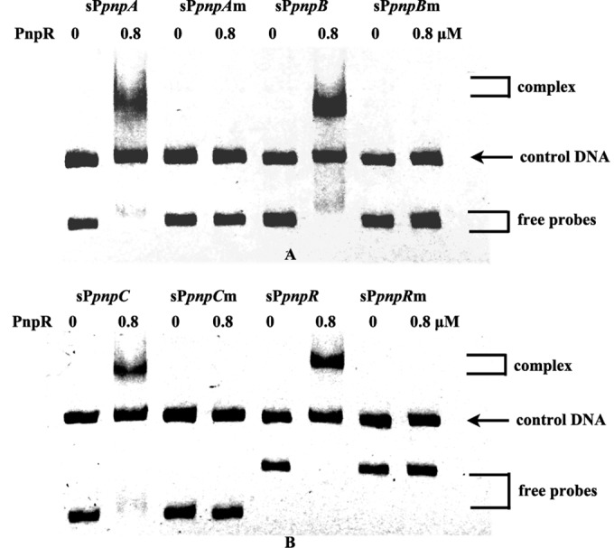 FIG 6