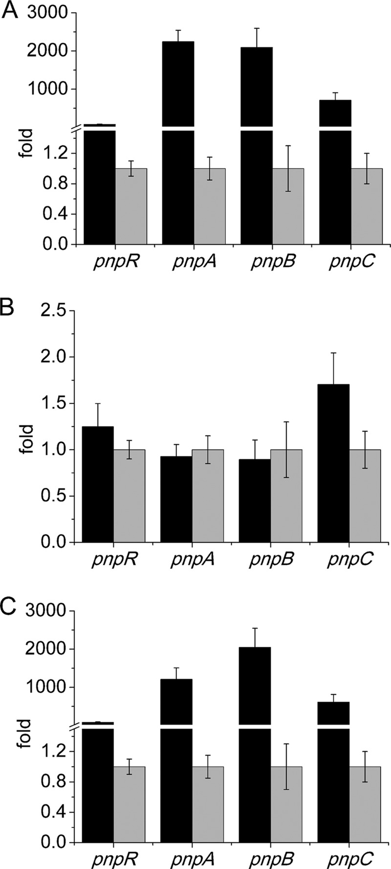 FIG 2