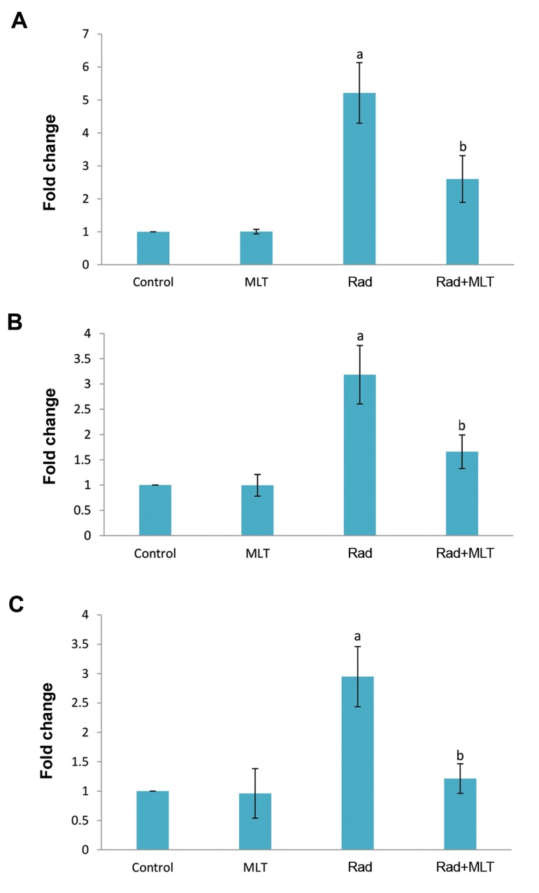 Fig.2