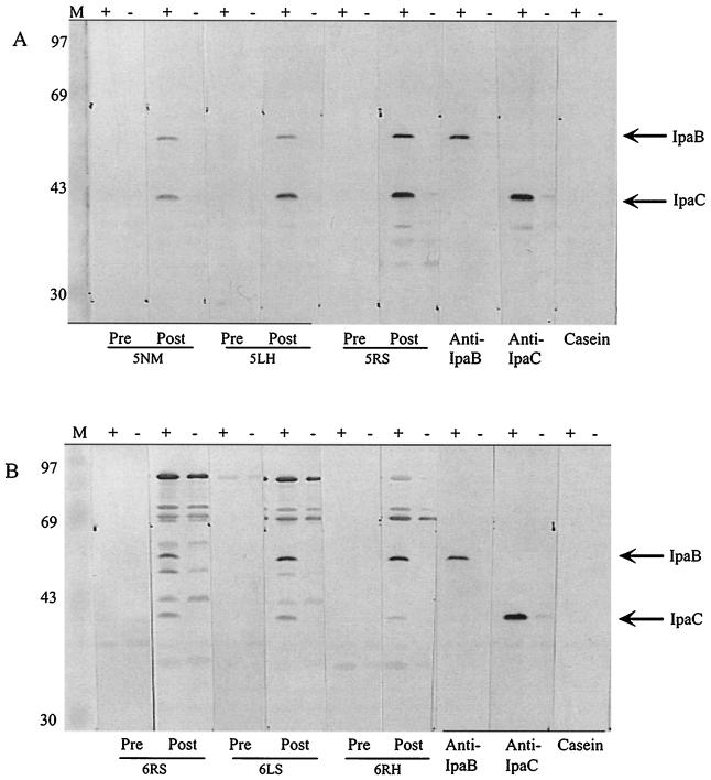 FIG. 5