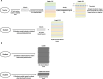 Schematic of the semi-supervised noisy student approach. Each color
signifies data from a different institution. (A) Schematic shows the
workflow at training time, which is explained in further detail in the
Semi-supervised Algorithm Development section. (B) Schematic shows the
workflow at test time as the student model is evaluated on both the CQ500
overall dataset and pixel-label subset to evaluate examination-level and
pixel-level performances.