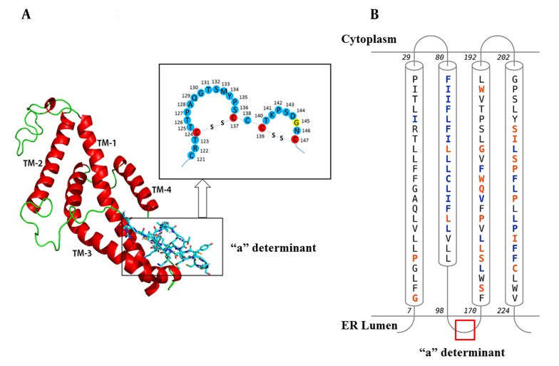 Figure 3.