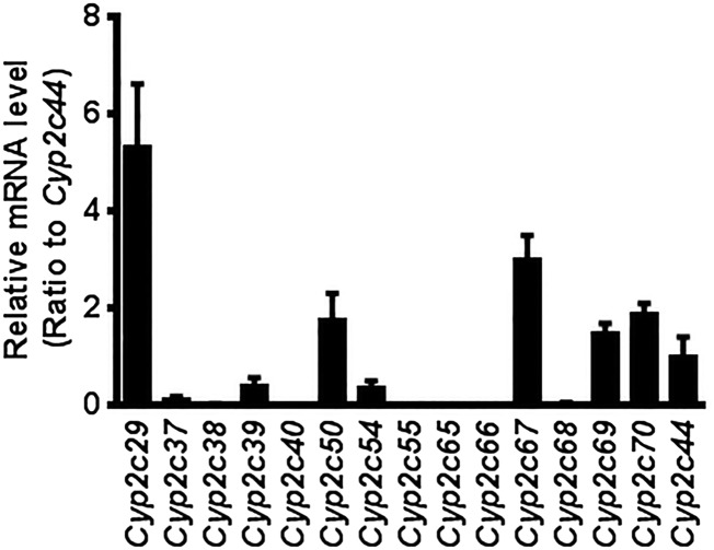 Fig. 3.