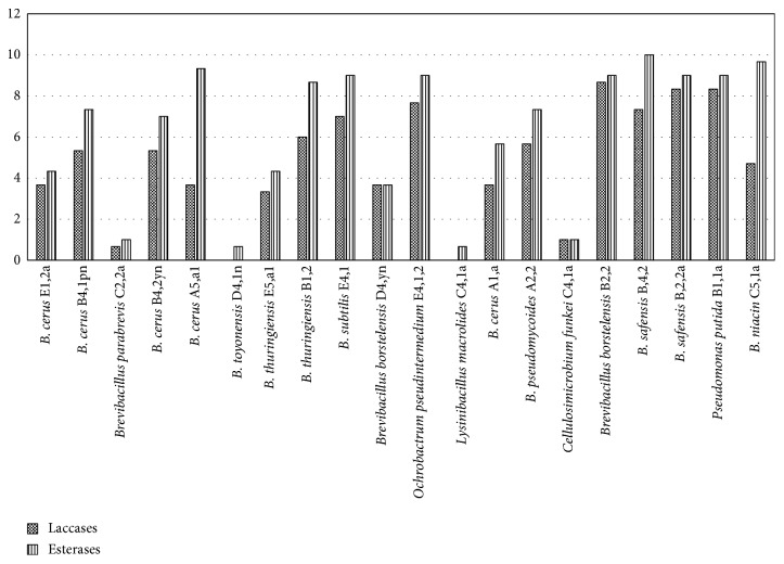 Figure 5