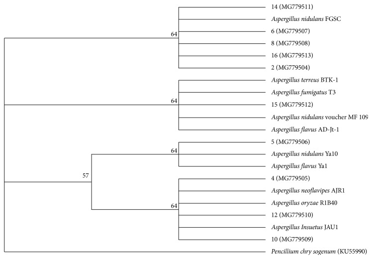 Figure 2