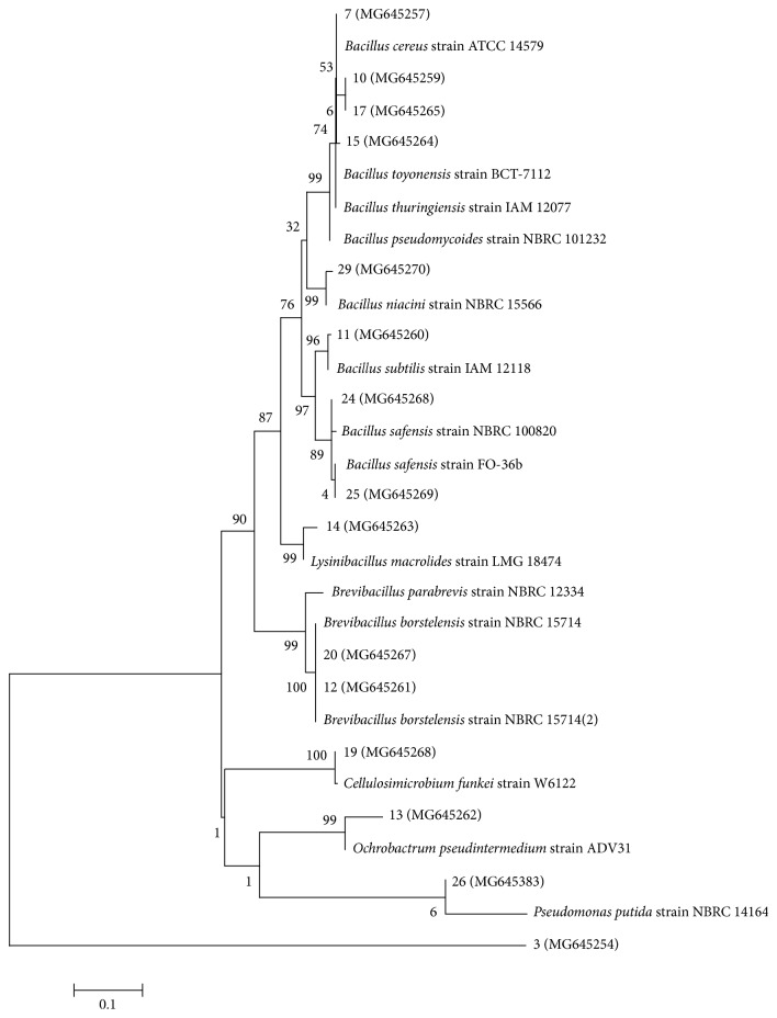 Figure 4