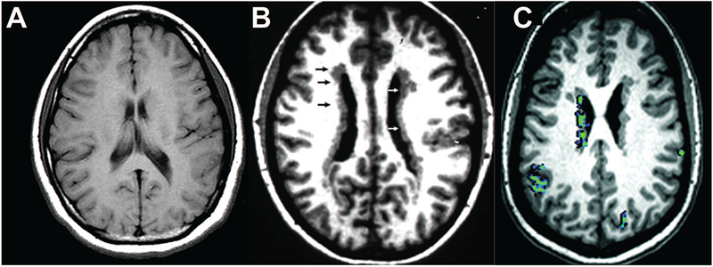 Figure 2.