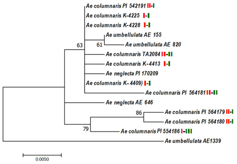 Figure 11