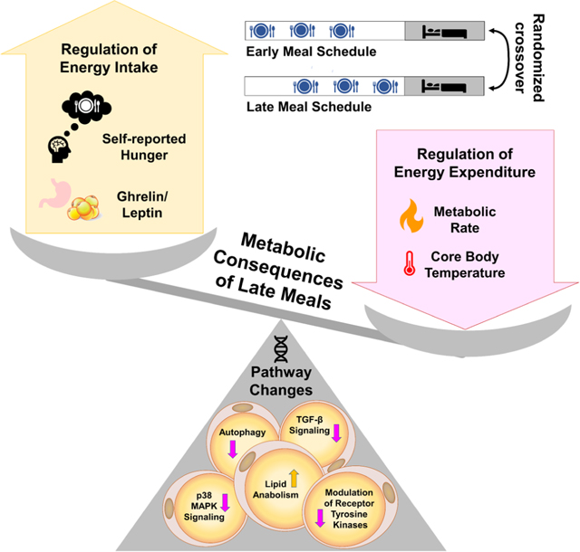 graphic file with name nihms-1840489-f0006.jpg