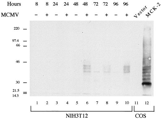 FIG. 6