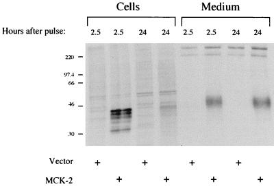 FIG. 5