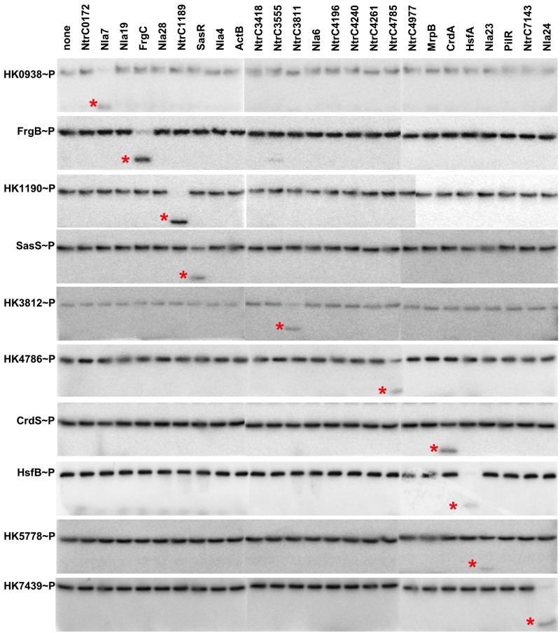 FIG 1 