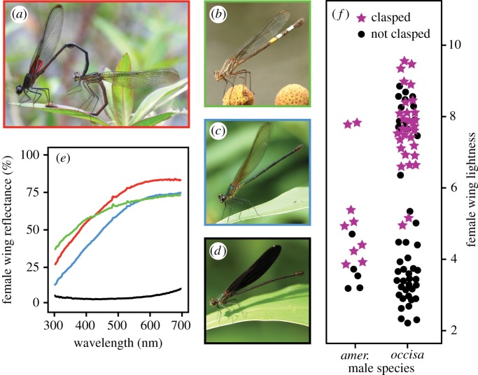 Figure 1.