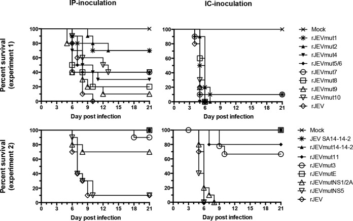 FIG 2