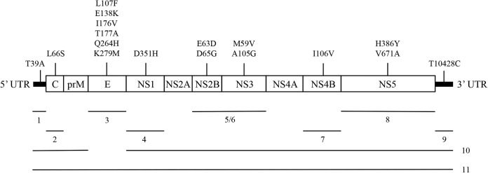 FIG 1