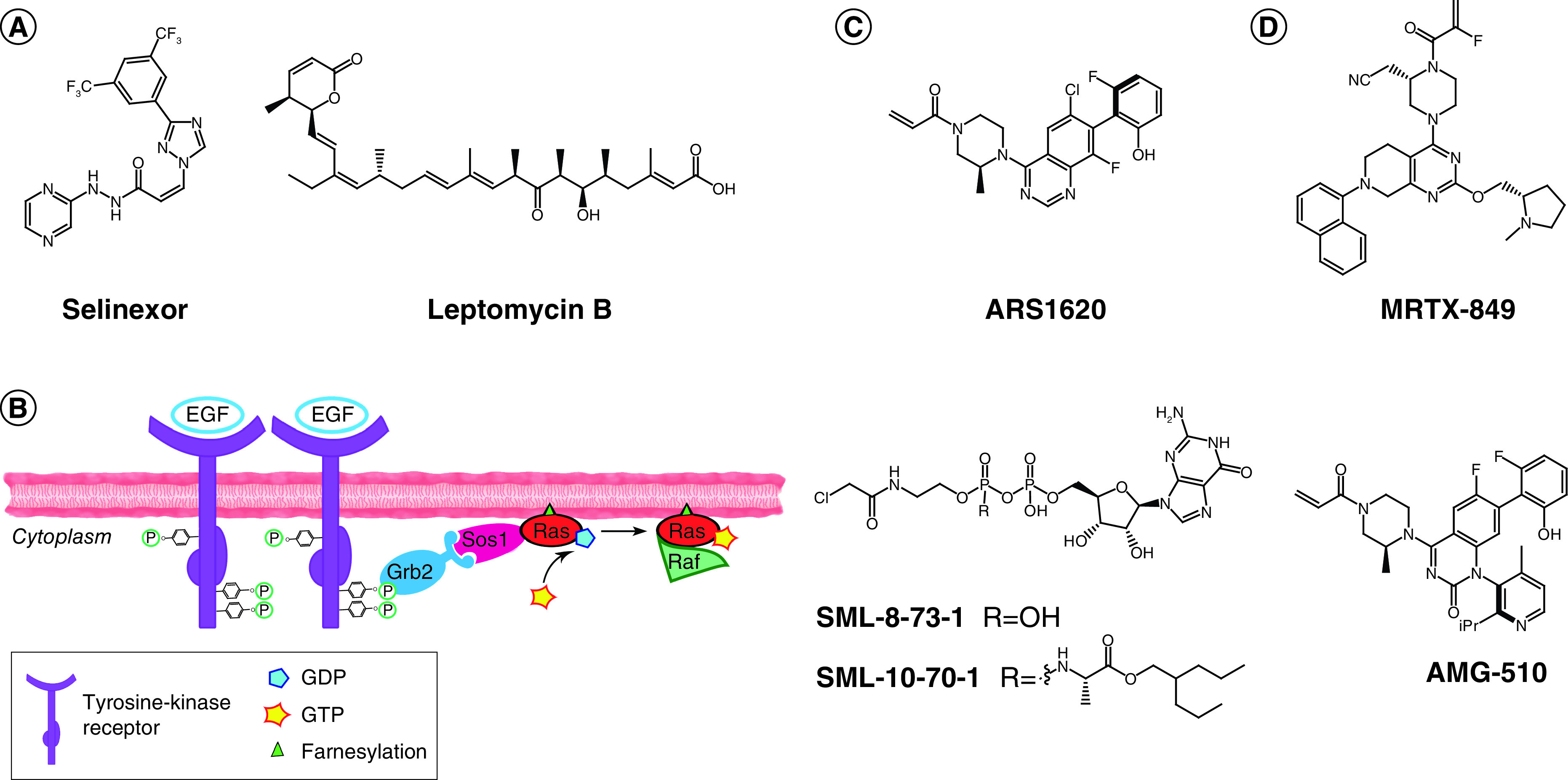 Figure 2. 