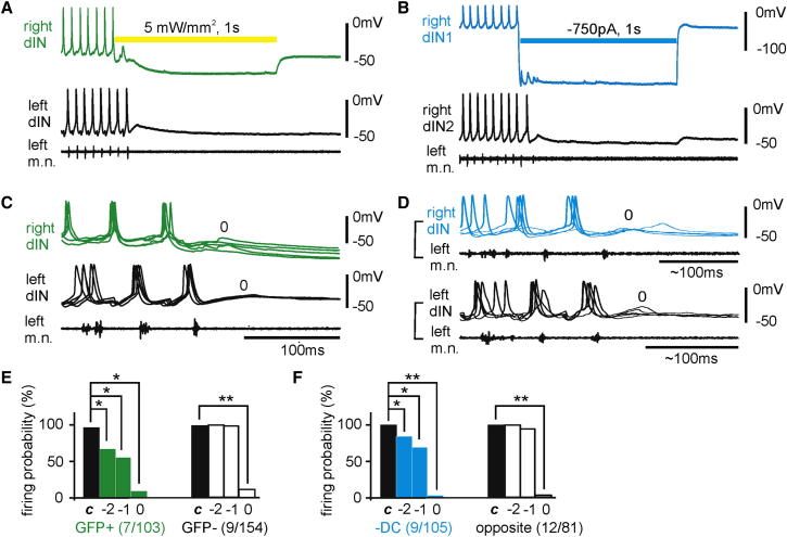 Figure 4