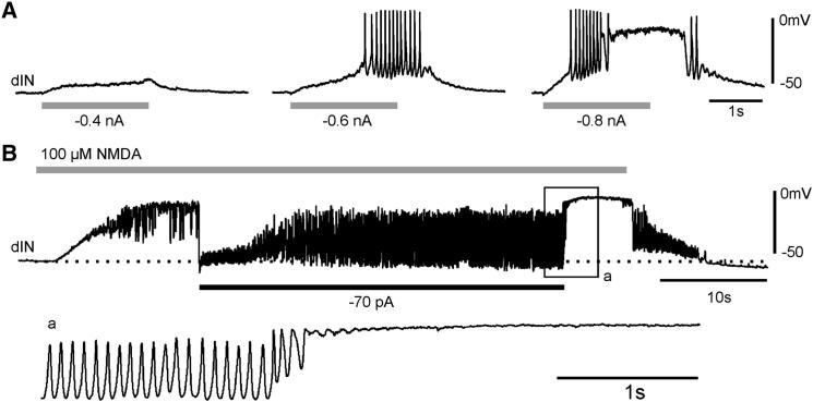 Figure 7