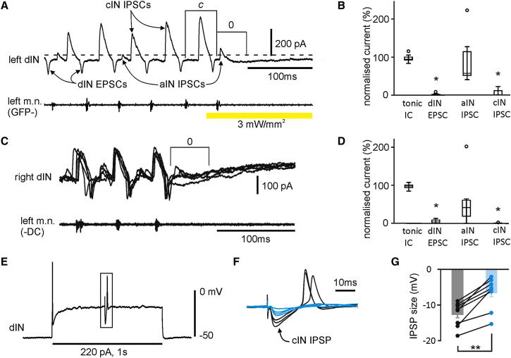 Figure 5