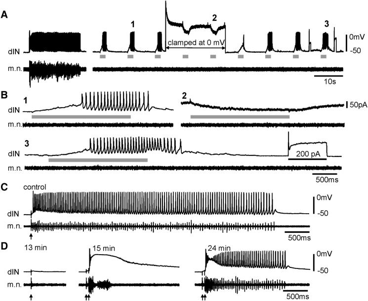 Figure 6