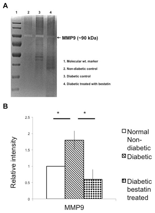 Fig. 5