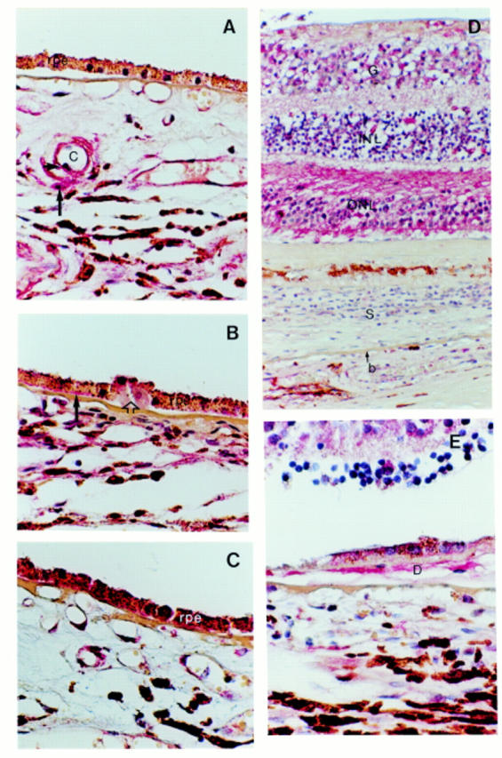 Figure 2  