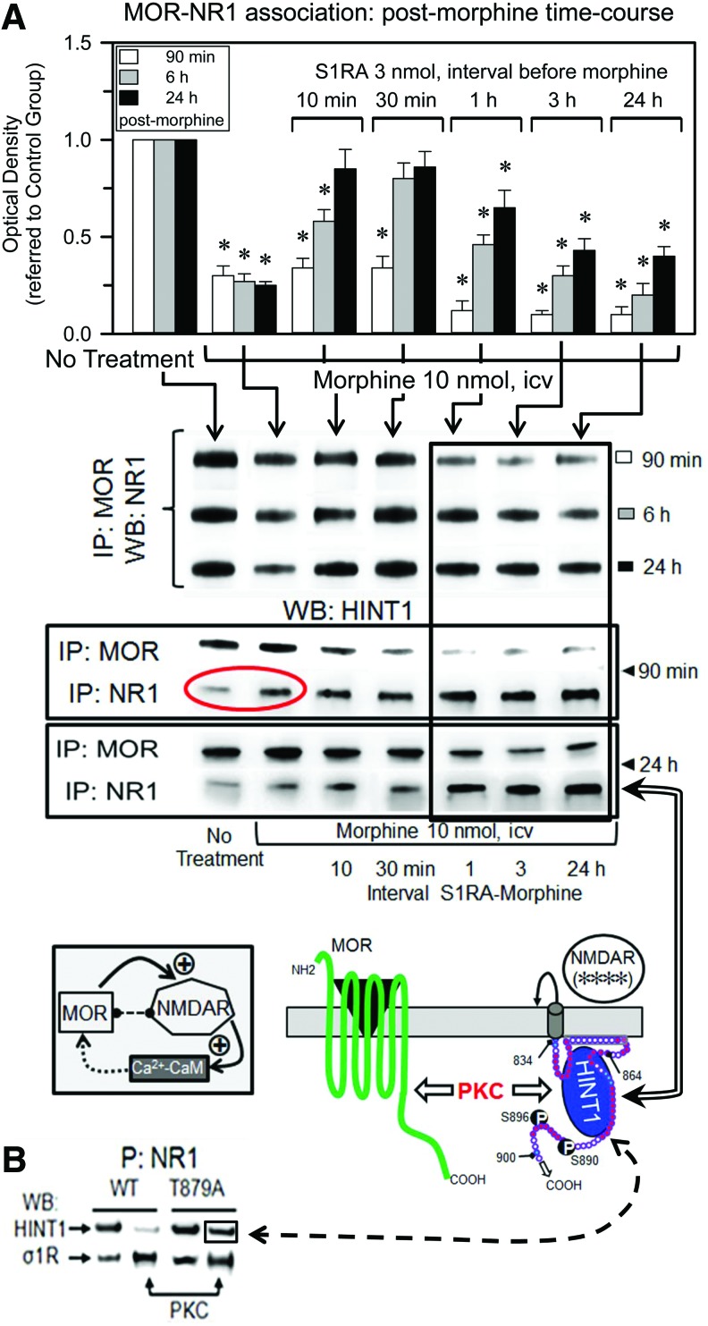 FIG. 10.