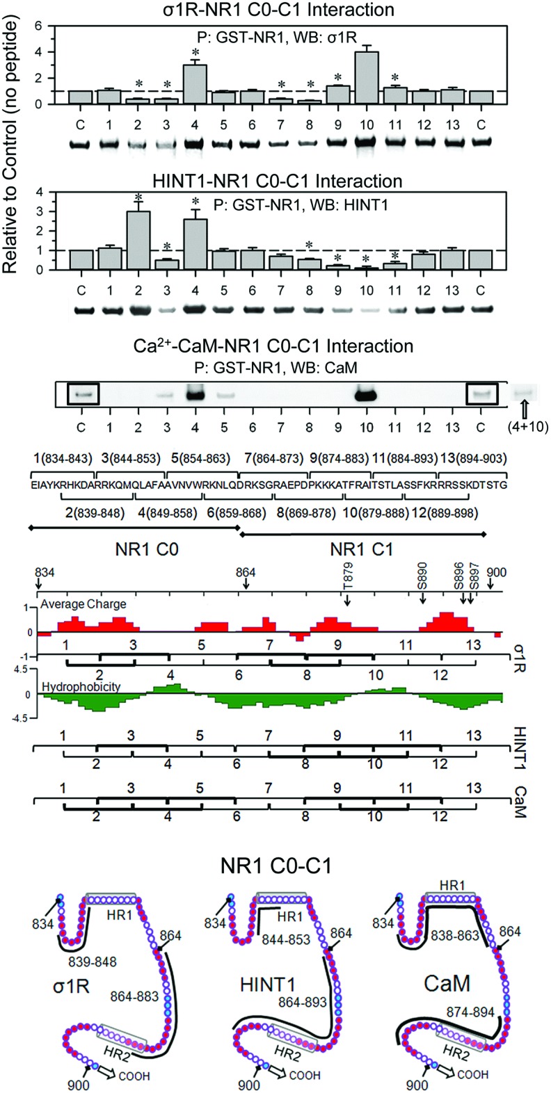 FIG. 2.