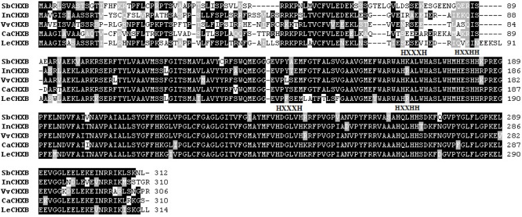 Figure 5