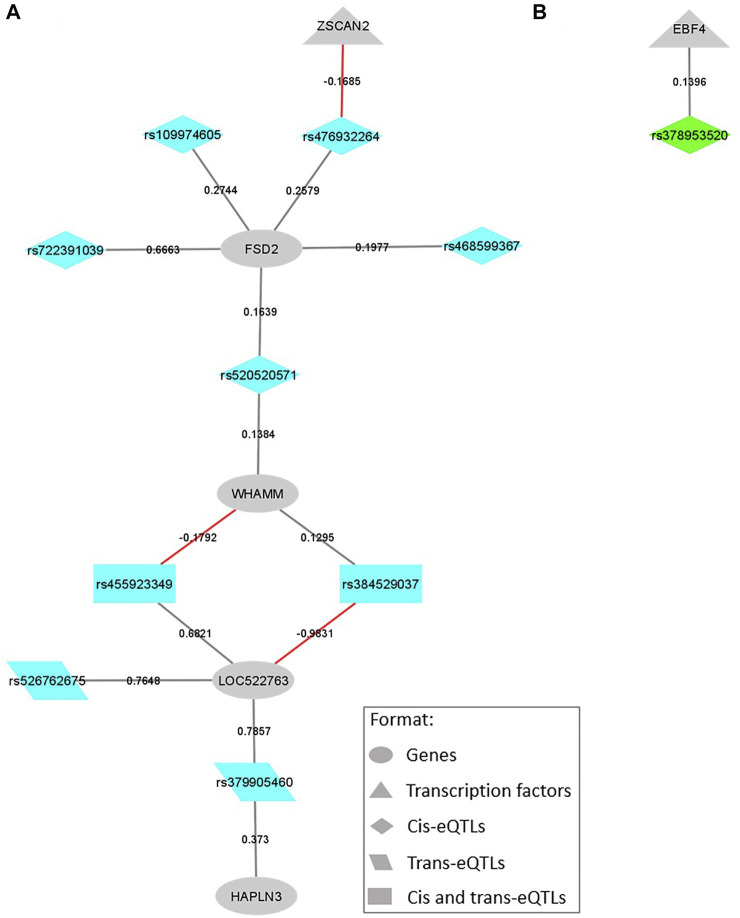 FIGURE 4