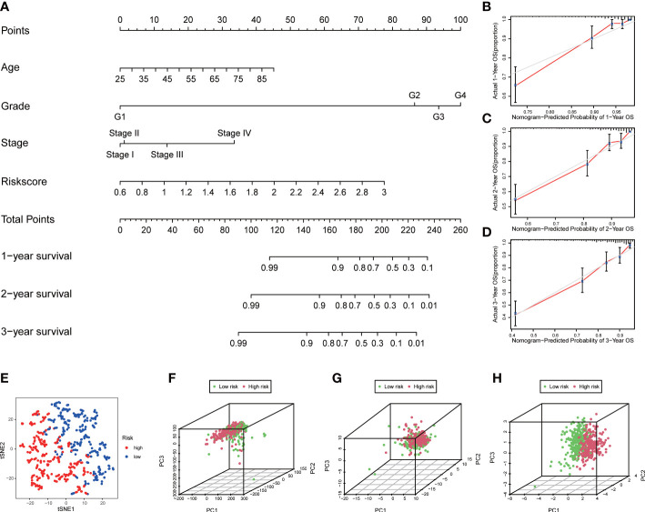 Figure 5