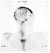 <i>Figure 2</i>