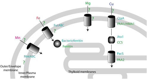 Figure 2.